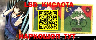 крисы Кузнецк