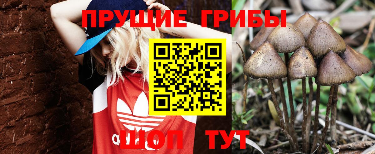 Галлюциногенные грибы MAGIC MUSHROOMS Елабуга